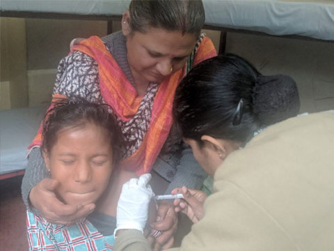 Photo Gallery February 2019