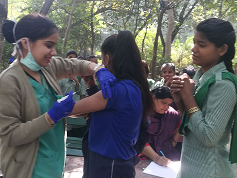 Photo Gallery November 2018