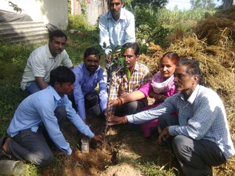 Photo Gallery October 2018